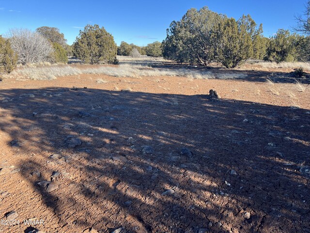 2008 Rosa Ln, Show Low, AZ 85901 - photo 11