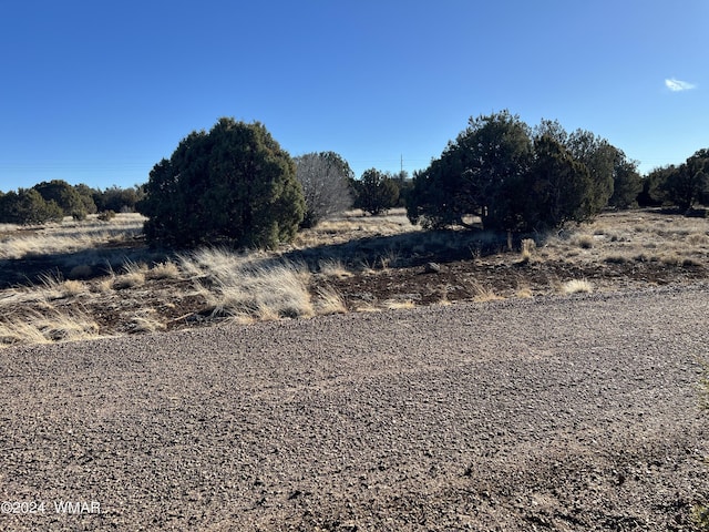 2008 Rosa Ln, Show Low, AZ 85901 - photo 3