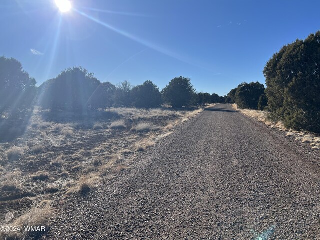 2008 Rosa Ln, Show Low, AZ 85901 - photo 6