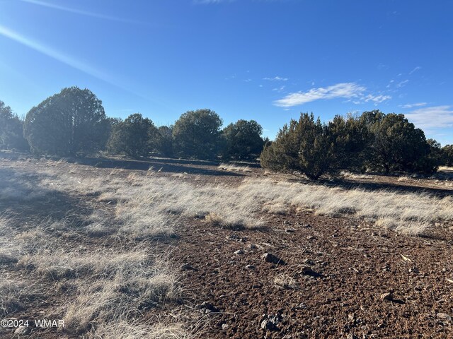 2008 Rosa Ln, Show Low, AZ 85901 - photo 12