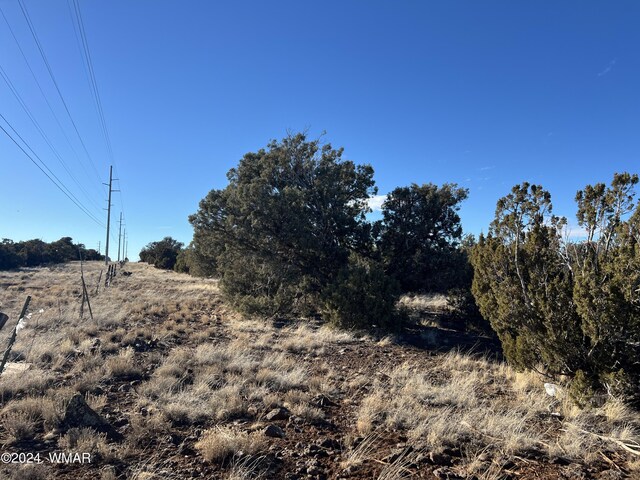 2008 Rosa Ln, Show Low, AZ 85901 - photo 13