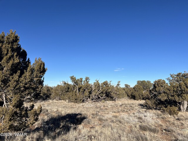 2008 Rosa Ln, Show Low, AZ 85901 - photo 14