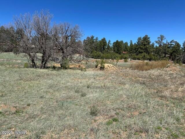1301 Lakeside Trl Unit Tl2Lot 33, Show Low, AZ 85901 - view of undeveloped land