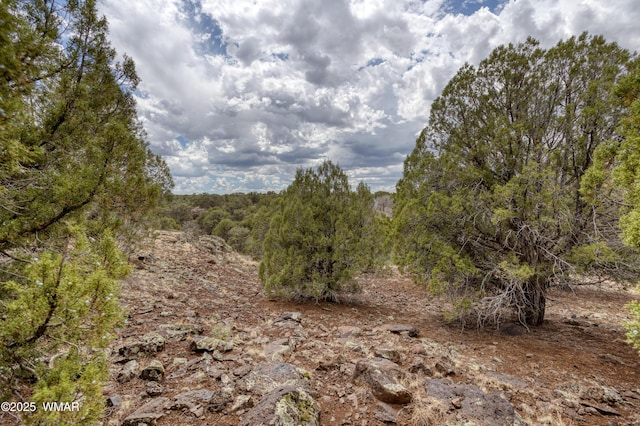 1866 Daggs St, Show Low, AZ 85901