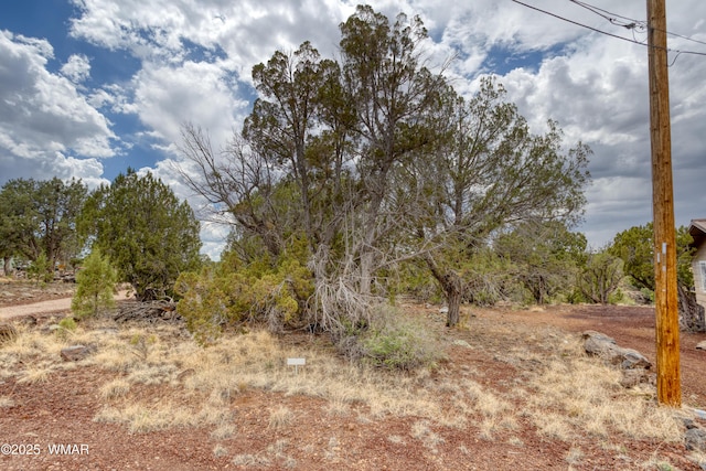 1866 Daggs St, Show Low, AZ 85901