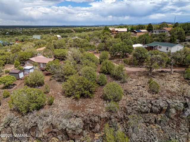 1866 Daggs St, Show Low, AZ 85901