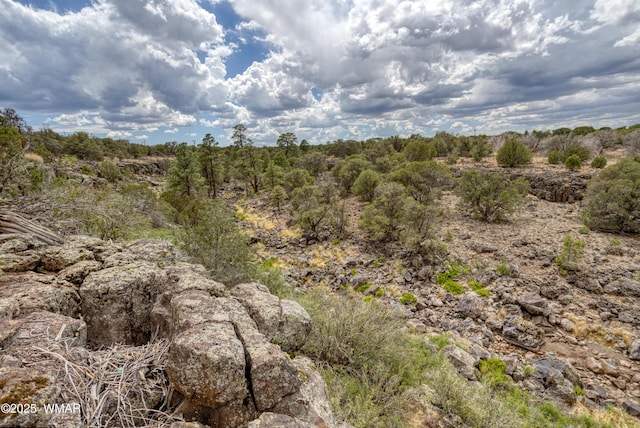 1866 Daggs St, Show Low, AZ 85901