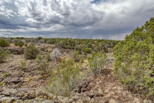 1866 Daggs St, Show Low, AZ 85901