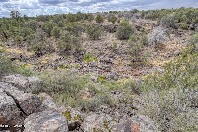 1866 Daggs St, Show Low, AZ 85901