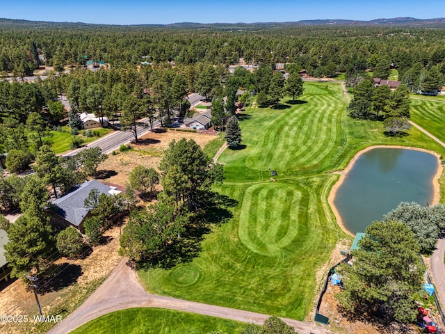 3730 W Old Linden Rd, Show Low, AZ 85901 - photo 4