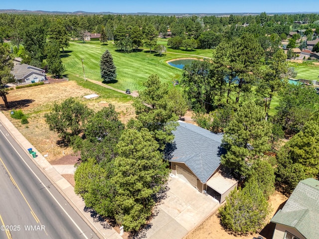 3730 W Old Linden Rd, Show Low, AZ 85901 - photo 3