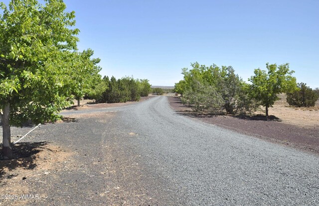 707 W Despain Ave, Snowflake, AZ 85937 - photo 52