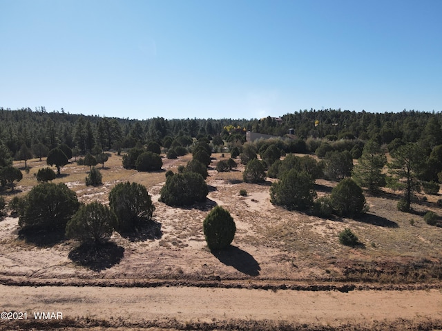 TBD Iron Spur Trail, Show Low AZ, 85901 land for sale