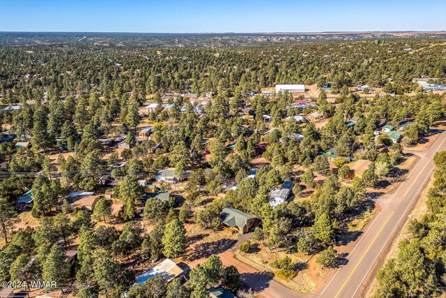 2086 Pinewood Dr, Overgaard, AZ 85933 - photo 26