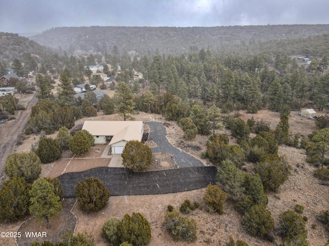 bird's eye view with a view of trees