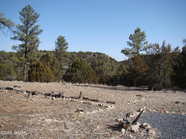 view of local wilderness with a wooded view