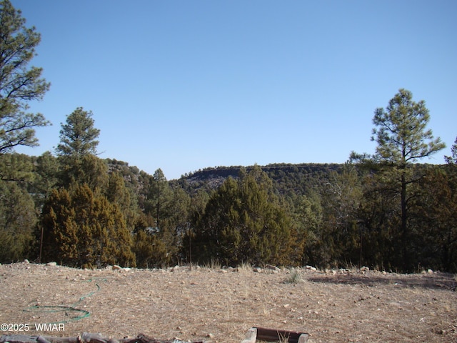 view of local wilderness with a view of trees