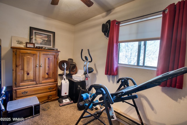 10 N County Road 3167, Vernon, AZ 85940 - photo 16