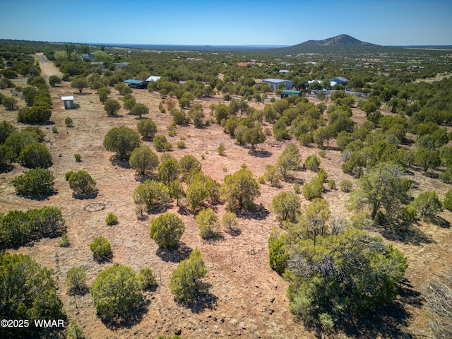 10 N County Road 3167, Vernon, AZ 85940 - photo 24