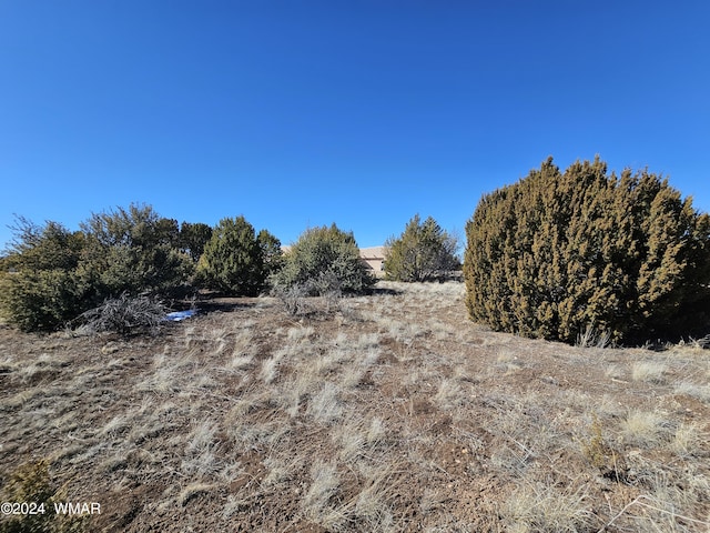 1968 Ridgeway Rd, Show Low, AZ 85901 - photo 4