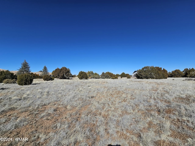 1968 Ridgeway Rd, Show Low, AZ 85901 - photo 9