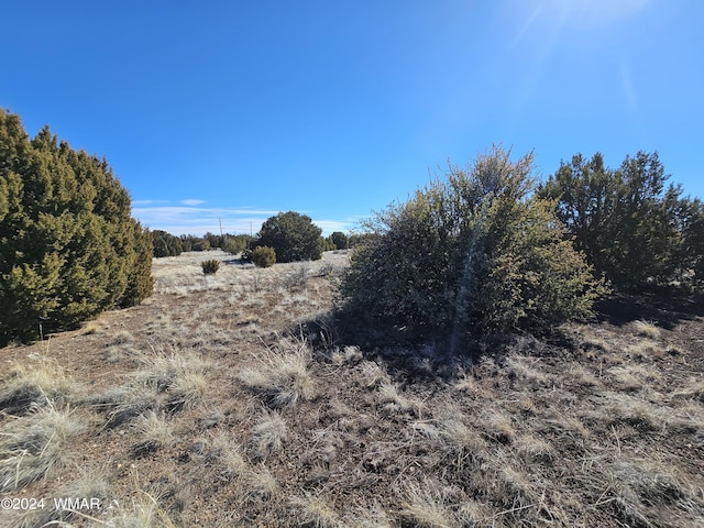 1968 Ridgeway Rd, Show Low, AZ 85901 - photo 5