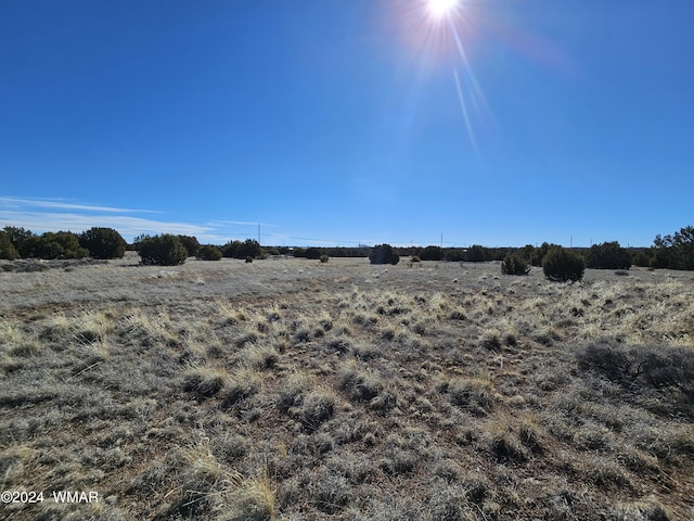 1968 Ridgeway Rd, Show Low, AZ 85901 - photo 7