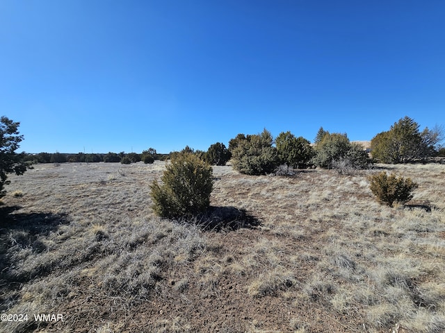 1968 Ridgeway Rd, Show Low, AZ 85901 - photo 3