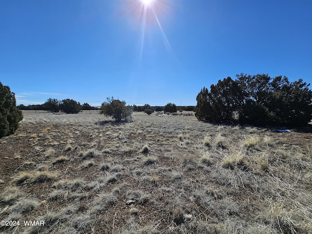 1968 Ridgeway Rd, Show Low, AZ 85901 - photo 2