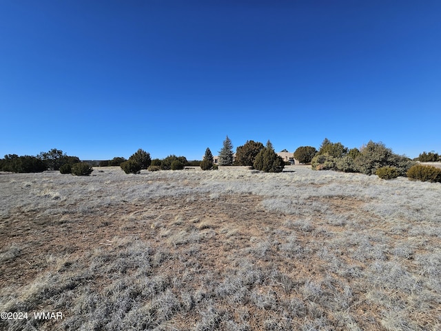 1968 Ridgeway Rd, Show Low, AZ 85901 - photo 10