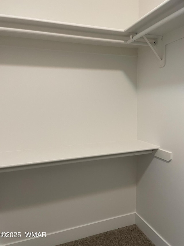 2490 Aspen Run, Pinetop, AZ 85935 - walk in closet with dark carpet