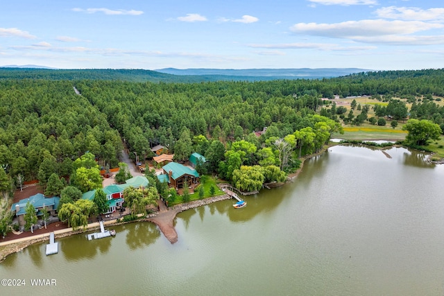 bird's eye view with a forest view and a water view