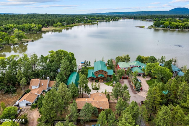 birds eye view of property with a water view and a view of trees