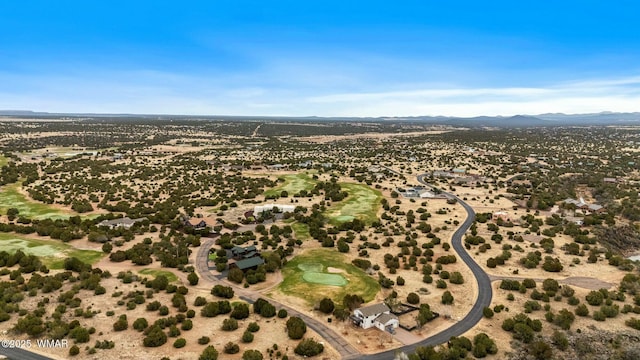 birds eye view of property with a mountain view