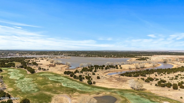 8286 Pinon Dr, Show Low, AZ 85901 - bird's eye view of a nearby body of water and a golf club