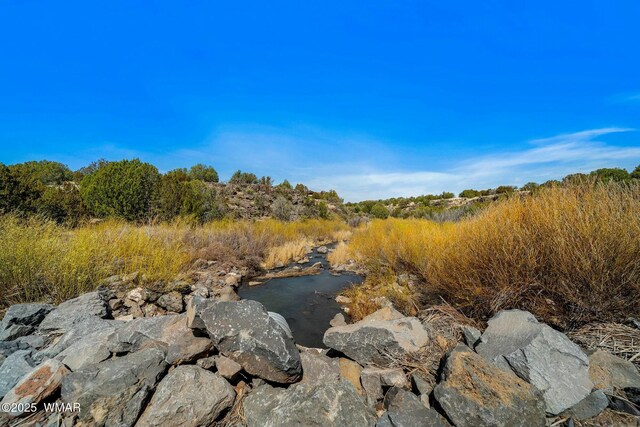 view of local wilderness