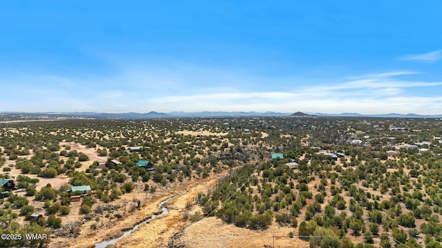 aerial view with a mountain view