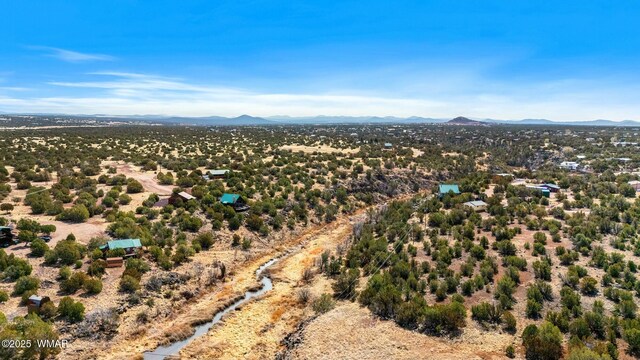 bird's eye view featuring a mountain view