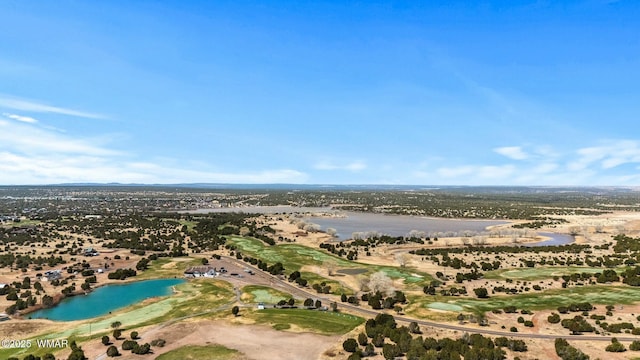 8286 Pinon Dr, Show Low, AZ 85901 - bird's eye view of a nearby body of water