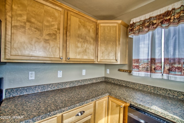 kitchen featuring dark countertops and dishwasher