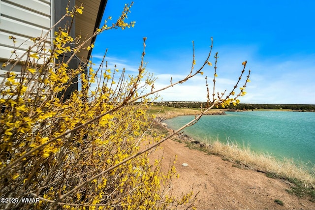 water view