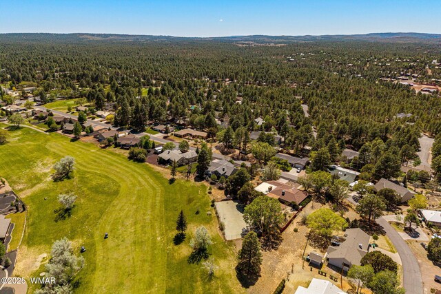 1401 Fairway Dr, Show Low, AZ 85901 - photo 36