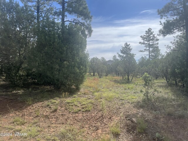 5481 Red Squirrel Ln, Lakeside AZ, 85929 land for sale