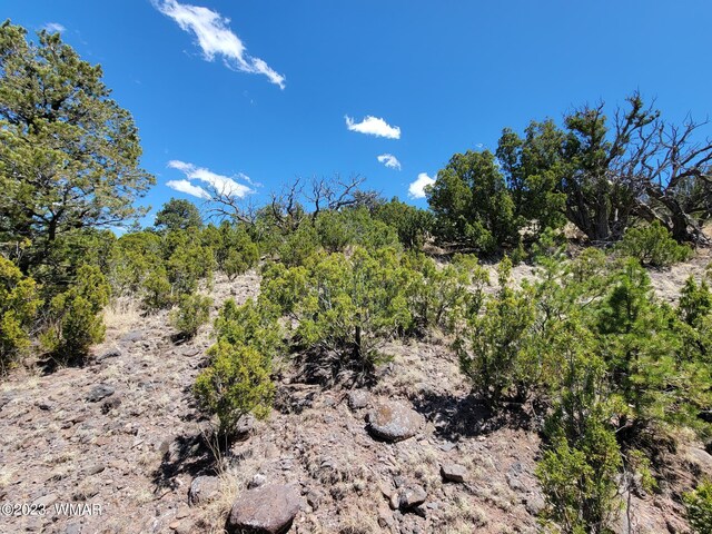 TBD Sunset Dr, Eagar, AZ 85925 - photo 3