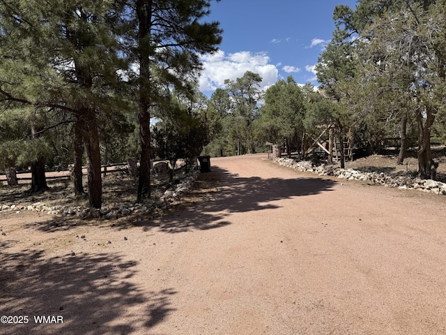 2097 Ranger Rd, Overgaard, AZ 85933 - photo 30
