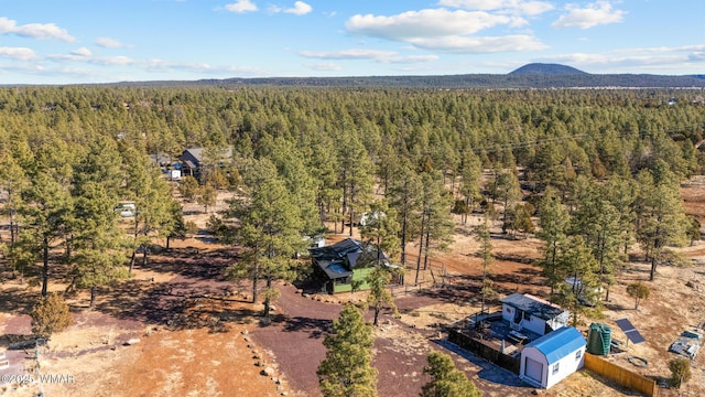 drone / aerial view featuring a forest view and a mountain view