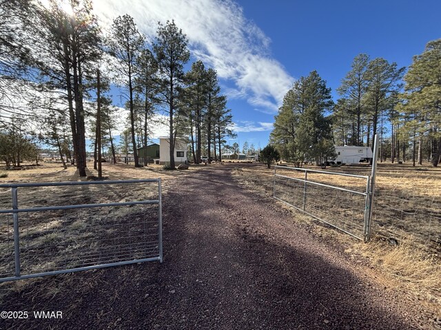 view of street with driveway, a gate, a gated entry, and a rural view