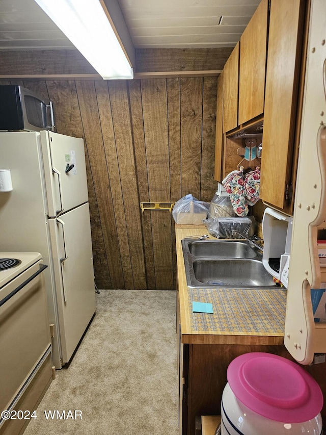 kitchen with wood walls, stainless steel microwave, a sink, and light colored carpet