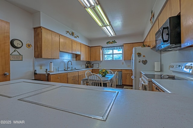 2116 Marble Rd, Clay Springs, AZ 85923 - photo 48