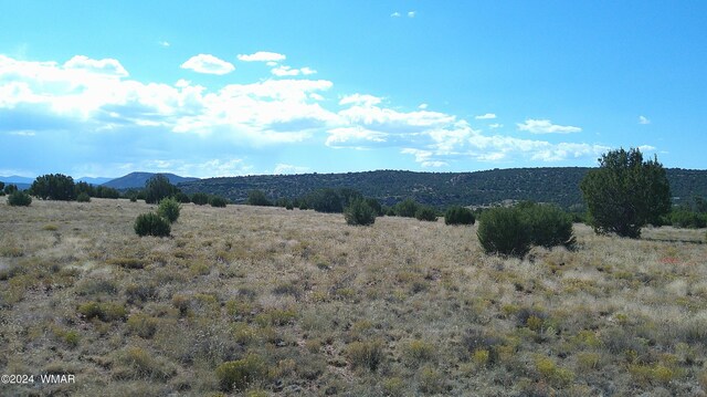 20 Cr Rd, Concho, AZ 85924 - photo 4